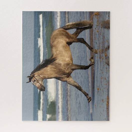 Bob Langrish Andalucian Stallion op strand Legpuzzel (Verticaal)