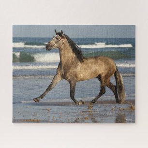 Bob Langrish Andalucian Stallion op strand Legpuzzel