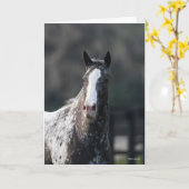 Bob Langrish | Appaloosa Headshot Kaart (Gele Bloem)