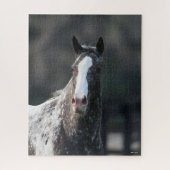 Bob Langrish | Appaloosa Headshot Legpuzzel (Verticaal)