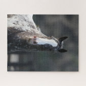 Bob Langrish | Appaloosa Headshot Legpuzzel (Horizontaal)