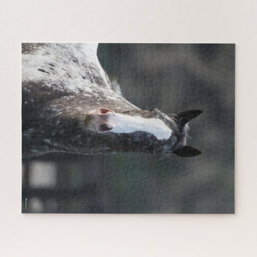 Bob Langrish | Appaloosa Headshot Legpuzzel (Horizontaal)