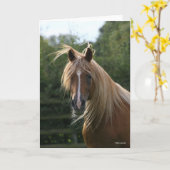 Bob Langrish | Arab Stallion Headshot Kaart (Gele Bloem)