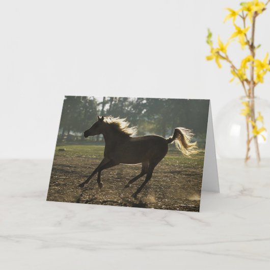 Bob Langrish | Arabisch draaiende achtergrond Kaart (Gele Bloem)