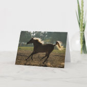 Bob Langrish | Arabisch draaiende achtergrond Kaart (Voorkant)