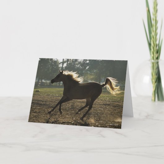 Bob Langrish | Arabisch draaiende achtergrond Kaart (Voorkant)