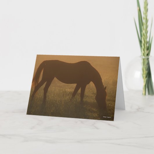 Bob Langrish | Arabische begrazing op de lijst Kaart (Voorkant)