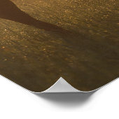 Bob Langrish | Arabische begrazing op de lijst Poster (Hoek)