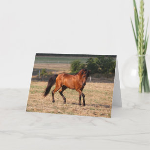 Bob Langrish Arabische Golf Kaart