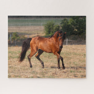 Bob Langrish Arabische Golf Legpuzzel