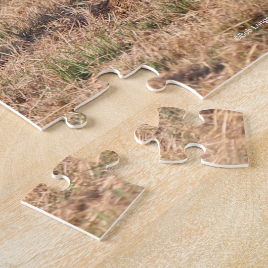 Bob Langrish | Arabische Golf Legpuzzel (Zijkant)