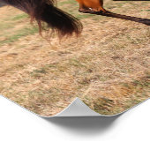 Bob Langrish | Arabische Golf Poster (Hoek)