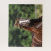 Bob Langrish | Arabische kastanjeboom — hoofdschot Legpuzzel (Verticaal)