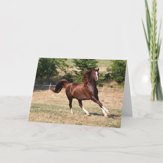 Bob Langrish | Arabische kastanjestabel lopende 3 Kaart (Voorkant)