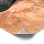 Bob Langrish | Arabische schok op de baai Poster (Hoek)