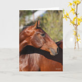 Bob Langrish | Baai Andalucian Headshot Kaart (Gele Bloem)