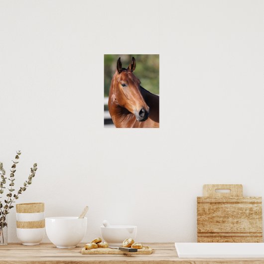 Bob Langrish | Baai Andalucian Headshot Poster (Keuken)