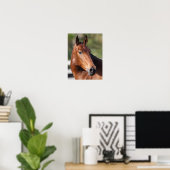 Bob Langrish | Baai Andalucian Headshot Poster (Thuiskantoor)