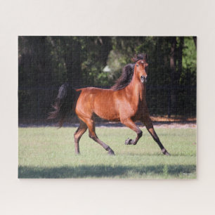 Bob Langrish Baai Tennessee Walker aan de gang Legpuzzel