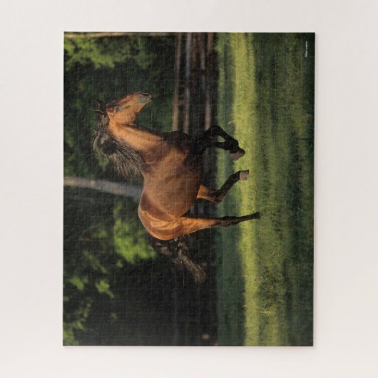 Bob Langrish | Baai van Andalucian Legpuzzel (Verticaal)