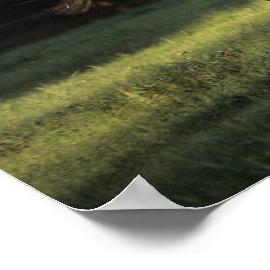 Bob Langrish | Baai van Andalucian Poster (Hoek)