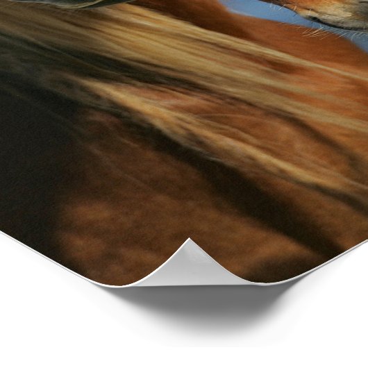 Bob Langrish | Baker Pony Mare en Foal headshot Poster (Hoek)