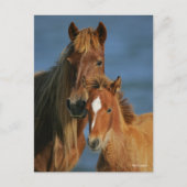 Bob Langrish | Banker Pony Mare and Foal Headshot Briefkaart (Voorkant)
