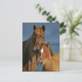 Bob Langrish | Banker Pony Mare and Foal Headshot Briefkaart (Staand voorkant)