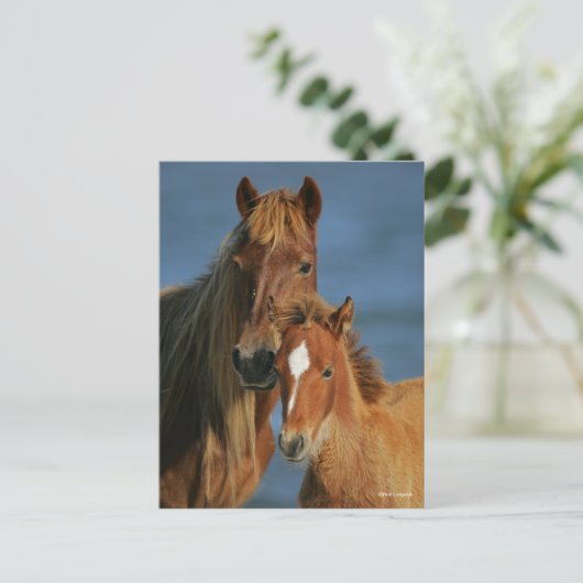 Bob Langrish | Banker Pony Mare and Foal Headshot Briefkaart (Staand voorkant)