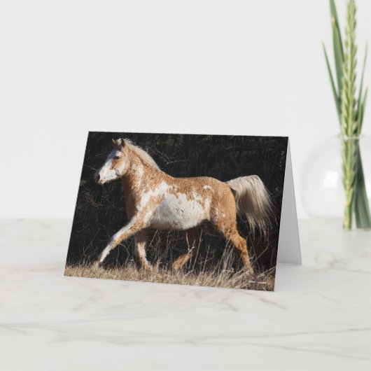 Bob Langrish Bashkir Curly Horse Stallion Walking Kaart (Voorkant)