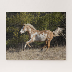 Bob Langrish   Bashkir Curly Stallion Running Legpuzzel