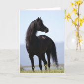 Bob Langrish | Black Arab Stallion Standing Kaart (Gele Bloem)