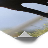 Bob Langrish | Black Arab Stallion Standing Poster (Hoek)