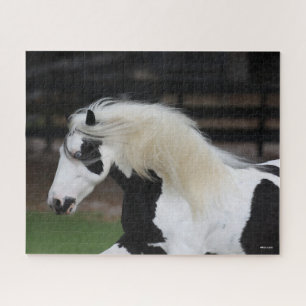 Bob Langrish Black en White Gypsy Vanner Headshot Legpuzzel