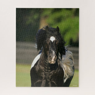 Bob Langrish Black en White Gypsy Vanner Headshot Legpuzzel