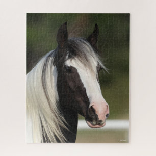 Bob Langrish Black en White Gypsy Vanner headshot Legpuzzel