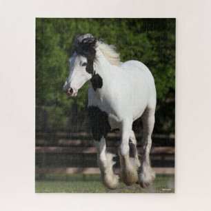 Bob Langrish Black en White Gypsy Vanner Running Legpuzzel
