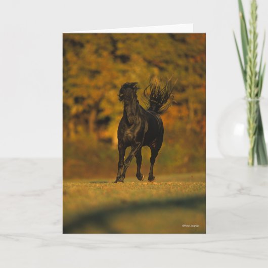 Bob Langrish | Black Friesian Running In Autumn Kaart (Voorkant)