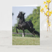 Bob Langrish | Black Morgan Horse Trotting Kaart (Gele Bloem)