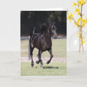 Bob Langrish | Black Tennessee Walker Running Kaart (Gele Bloem)