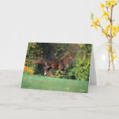 Bob Langrish | Bruine Rocky Mountain Horse Running Kaart (Gele Bloem)