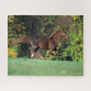Bob Langrish   Bruine Rocky Mountain Horse Running Legpuzzel