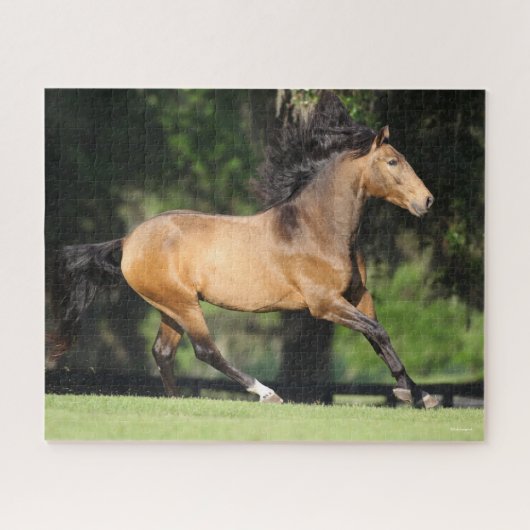 Bob Langrish | Buckskin Lusitano Running Legpuzzel (Horizontaal)