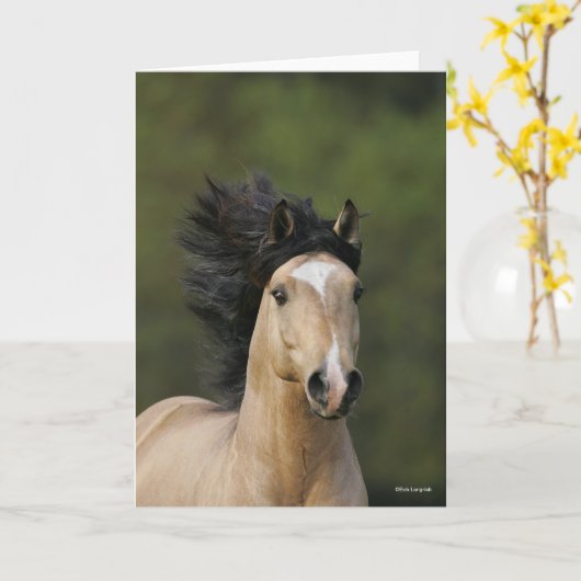 Bob Langrish | Buckskin Welsh Pony Headshot Kaart (Gele Bloem)