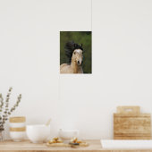 Bob Langrish | Buckskin Welsh Pony Headshot Poster (Keuken)