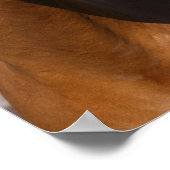 Bob Langrish | Canadese sportkop Poster (Hoek)