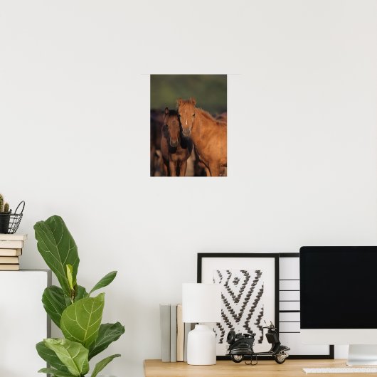 Bob Langrish Caspian Pony Foals Permanent Poster (Thuiskantoor)