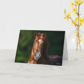 Bob Langrish Chestnut Andalucian Stallion Headshot Kaart (Gele Bloem)