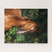 Bob Langrish | Chestnut Hanoverian Horse Headshot Legpuzzel (Horizontaal)