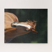 Bob Langrish | Chestnut Quarter Horse Headshot Legpuzzel (Horizontaal)